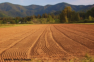 Farm Fields