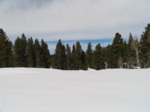 Winter Whimsy